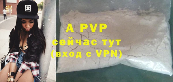 молекула духа Богданович