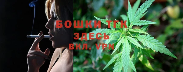 ECSTASY Богородск