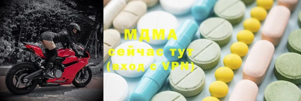 молекула духа Богданович