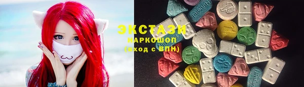 молекула духа Богданович