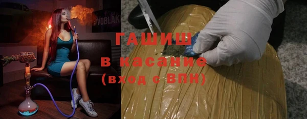 молекула духа Богданович