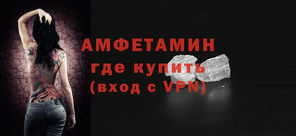 молекула духа Богданович