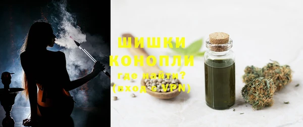 молекула духа Богданович