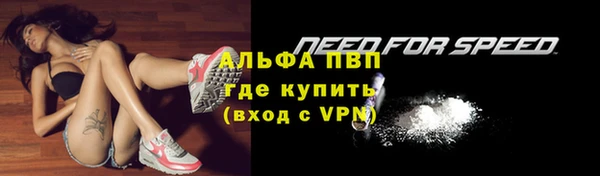 таблы Богородицк