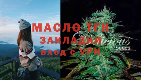 ECSTASY Богородск