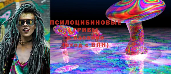 ECSTASY Богородск