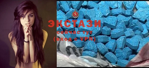ECSTASY Богородск