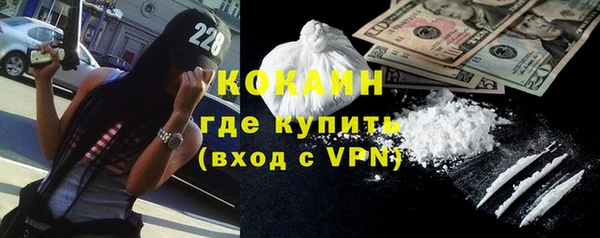 молекула духа Богданович