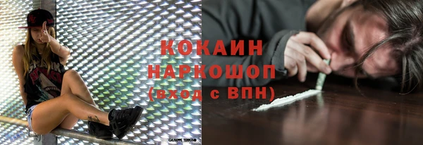 молекула духа Богданович