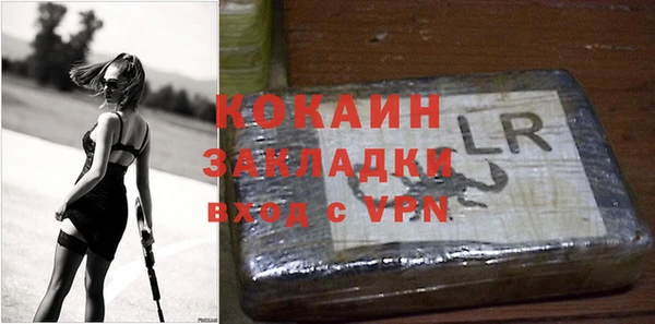 молекула духа Богданович
